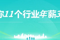 上市公司老板亲授：11个行业年薪30万实战指南