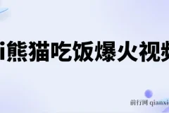 AI熊猫吃饭视频原创教程 轻松日入300+ 简单易懂