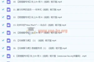 2024初三中考化学 杨雯智 A+暑假班 视频课程