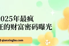 2025视频审核黑科技玩法：10秒出单，新手日入500+实战课程