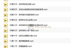 零基础AI短视频全能精品课 从工具入门到爆款实战
