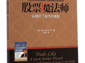 《股票魔法师：纵横天下股市的奥秘》米勒维尼 豆瓣8.9[PDF]