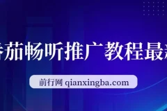 斗破苍穹直播挂机 番茄畅听小说推广实操教程
