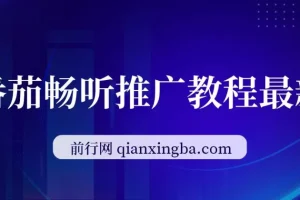 斗破苍穹直播挂机 番茄畅听小说推广实操教程