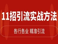 精准引流术：11招实战方法，让私域流量加到爆（11节完整课）