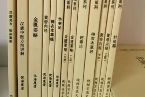 倪海厦作品及相关文集PDF合集 含诊疗日志与临床医案