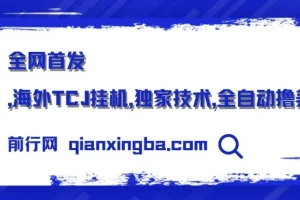 海外TCJ挂机项目实操课程，全自动验证码识别技术分享