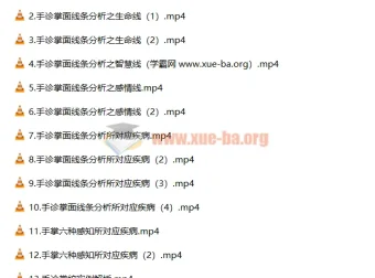 道御堂手诊初高级课程合集 手诊入门与进阶系统学习