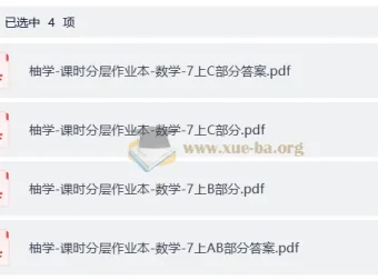初中数学7年级课时分层作业本 柚学AB卷+答案解析