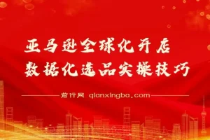 亚马逊全球化开店数据化选品实操技巧课 新手卖家爆款打造指南