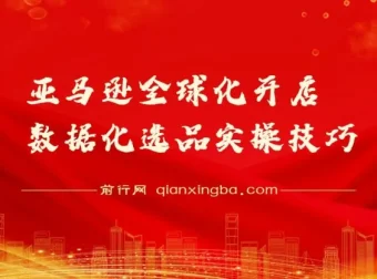 亚马逊全球化开店数据化选品实操技巧课 新手卖家爆款打造指南