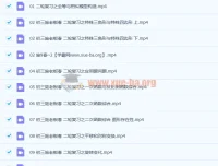 施老板施佳辰 2021春 初三中考数学二轮复习11讲 含讲义