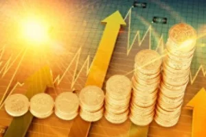 飞云金教《基金策略精讲》课程 从入门到实操的系统基金投资指南