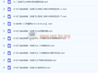 施老板施佳辰 2021春 初三中考数学二轮复习11讲 含讲义