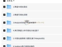 Python数据可视化从入门到实战 万门大学完整课程