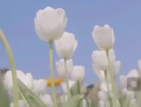 伍伍老师摄影教程：从基础到高级全攻略