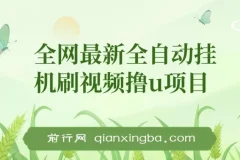 全自动挂机刷视频撸U项目 详细玩法教程与工具打包
