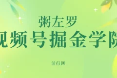 视频号掘金学院：粥左罗35讲实操课程，从入门到变现全解析