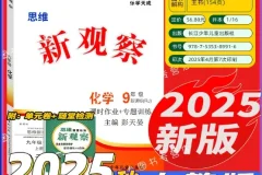 2025版九年级化学《思维新观察》上下册全套资料