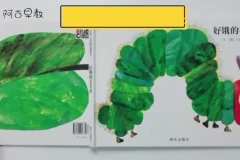 阿古早教《好饿的毛毛虫》亲子互动精讲课，明星老师带你玩转绘本