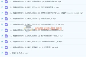 【阿留】状元方法论：科学学习指南 系统提升学习力