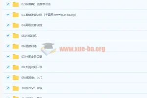 菜菜汪晟口语课2.0：从发音纠音到外贸谈判的系统口语训练